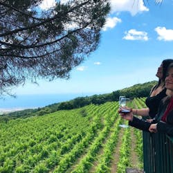 Experiência de degustação de vinhos Etna Nord